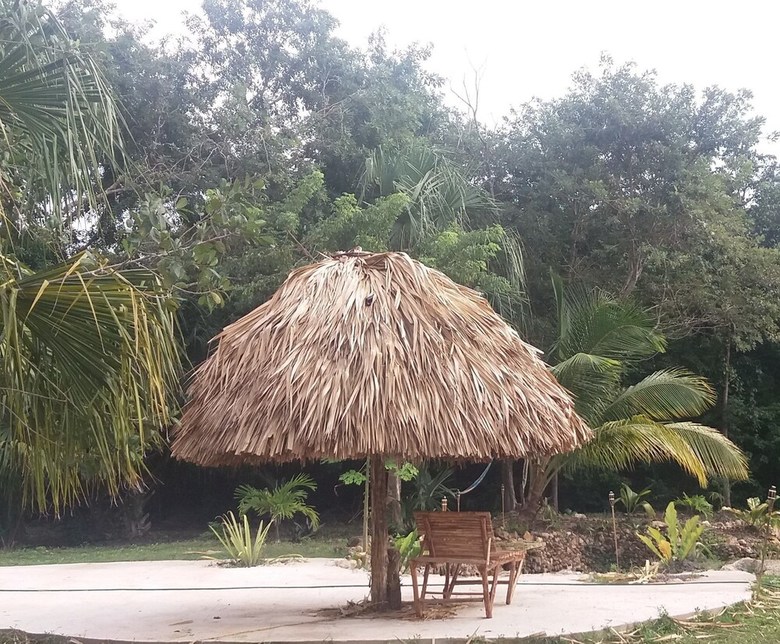 Posada Serenity Retreats Belize -a Vegan Resort
