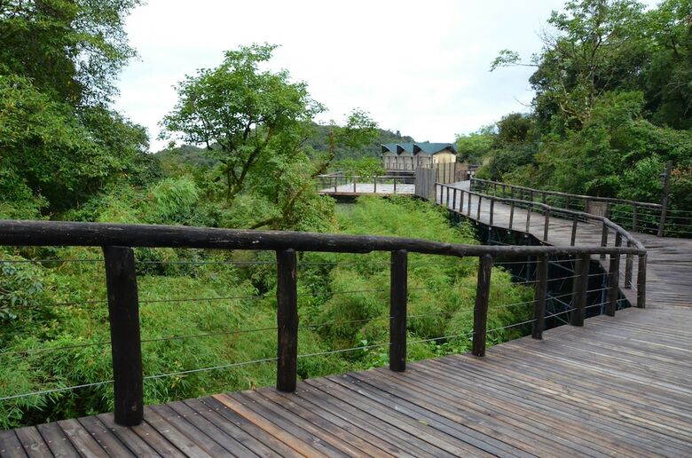 Vinetree Gaoligong Tented Resort