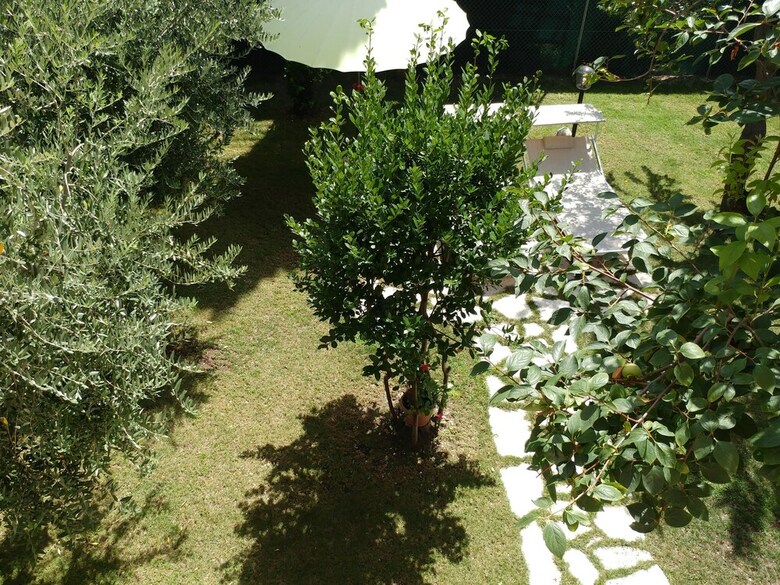 Villa Liberty B&B