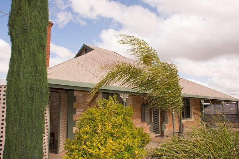 Hostal Kimba Travellers Haven
