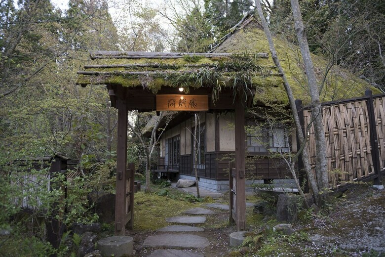 Nihon No Ashitaba