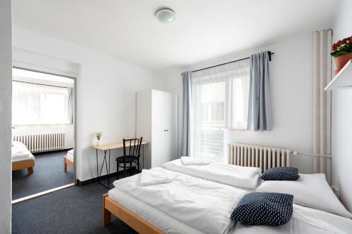 Hotel Horn� Pramen