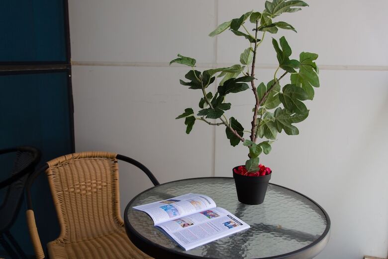 Apartamento Higuests Vacation Homes - Saba 2