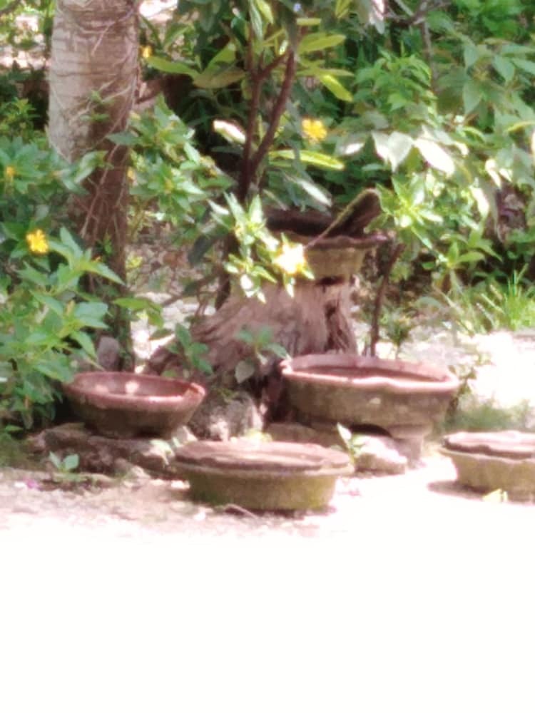 Bed & Breakfast Hambilica Ecolodge