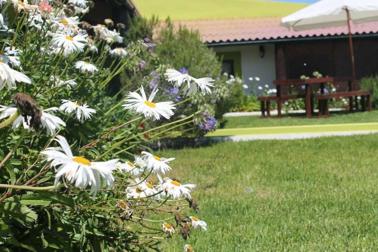 Hotel Sawmill Azores
