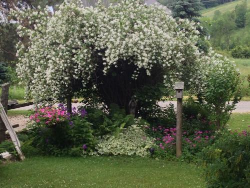 Foxingham Farm Bed & Breakfast
