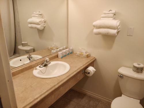 Motel Siesta Inn