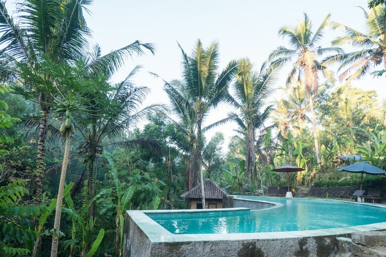 Bed & Breakfast Song Broek Jungle Resort