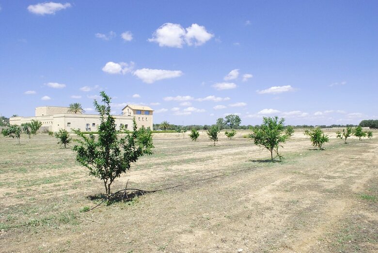 Agroturismo Agriturismo Masseria Galatea
