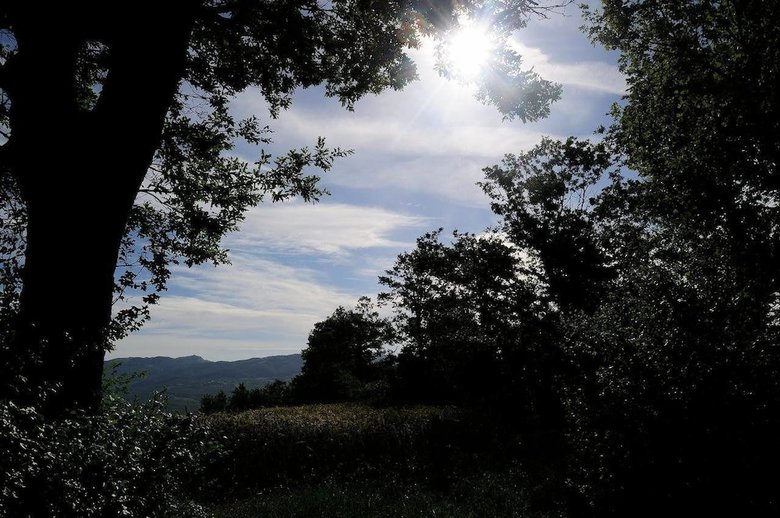Agroturismo Agriturismo I Monti