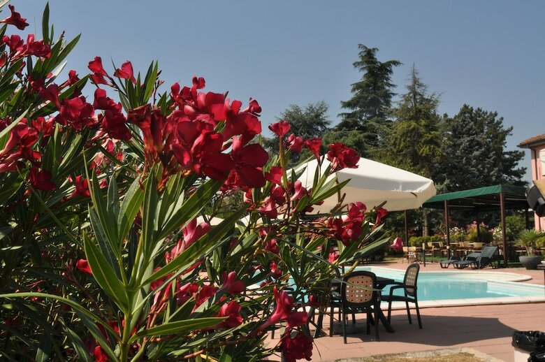 Agroturismo La Prosciutta