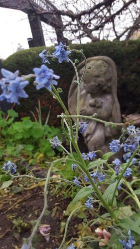 Bed & Breakfast By The Sea Bnb, Sidney Victoria Bc