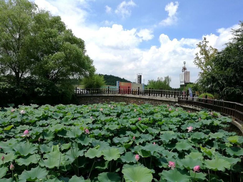 Nanjing John Garden Hotel