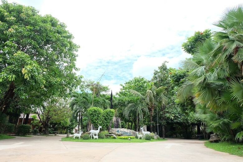 Hotel Big Tree Resort