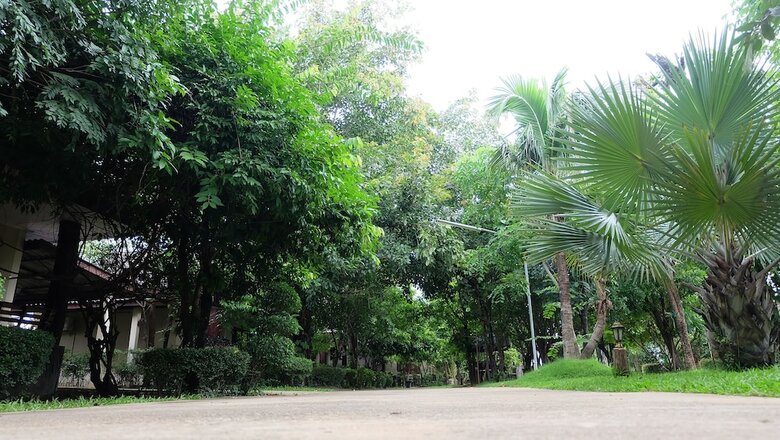 Hotel Big Tree Resort