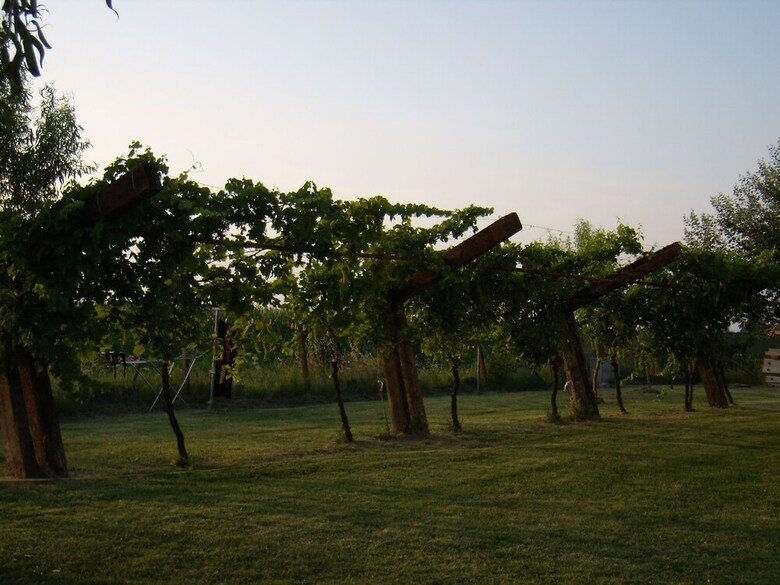 Agroturismo L'antico Casale Dei Sogni