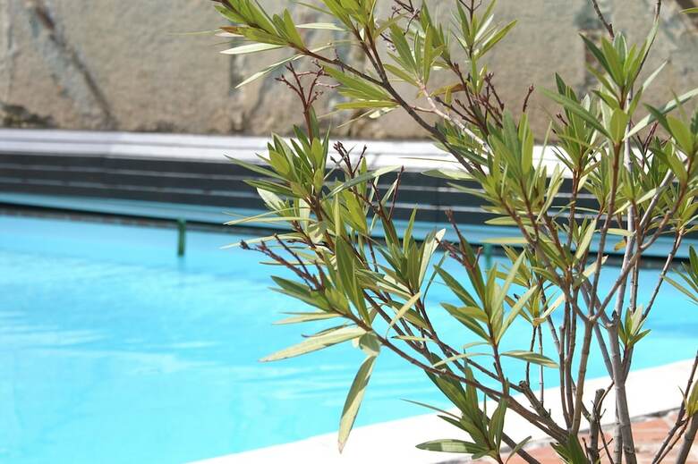 Hotel B&B Vassy Etaule