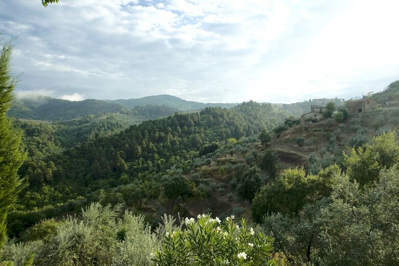 Agroturismo Ventena Vecchia Antico Frantoio