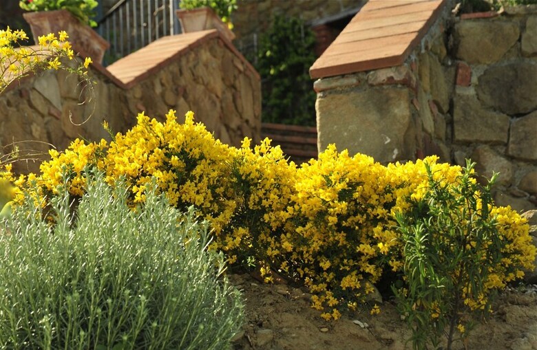 Agroturismo Ventena Vecchia Antico Frantoio