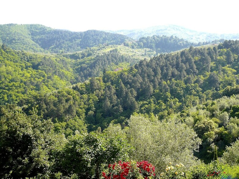 Agroturismo Ventena Vecchia Antico Frantoio