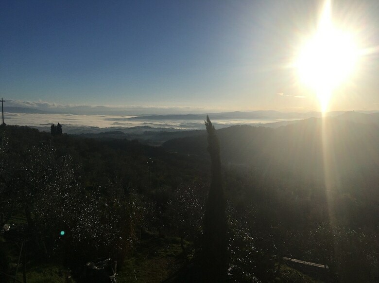 Agroturismo Ventena Vecchia Antico Frantoio