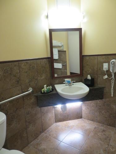 Hotel Poplar Tree Inn