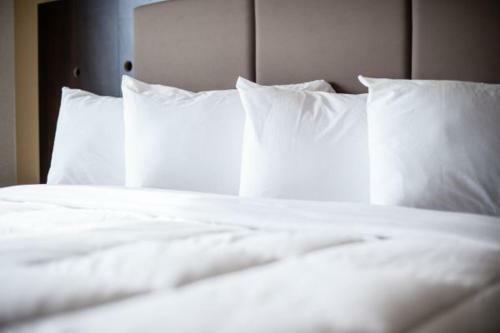 Hotel Western Star Inn & Suites Stoughton