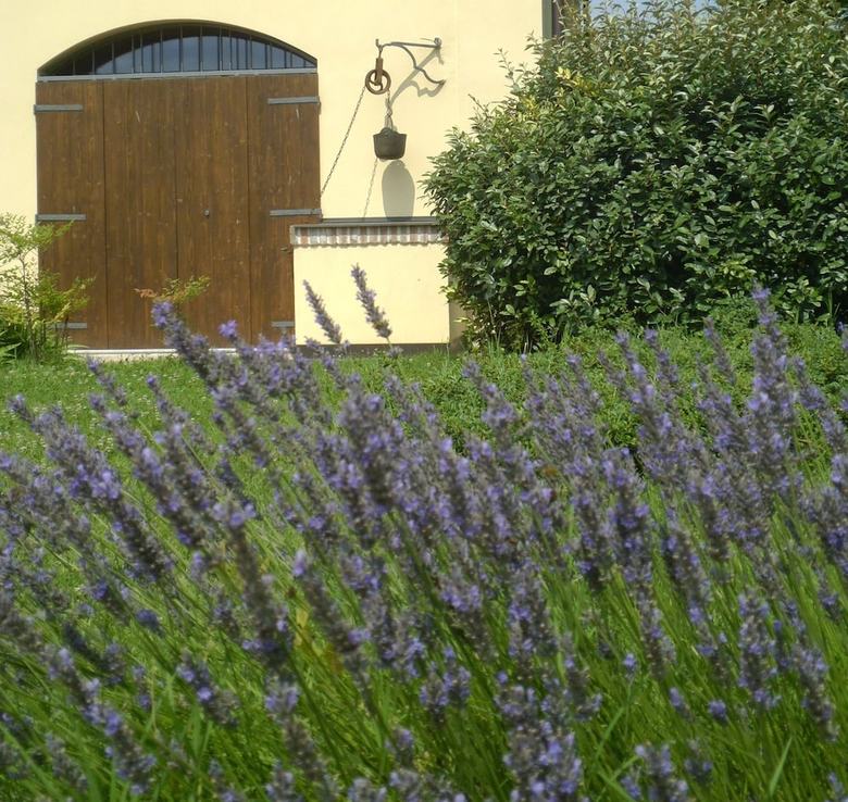 Bed & Breakfast Locanda Del Toro