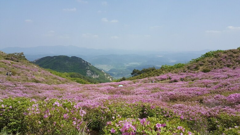Hapcheonho View Smile Pension