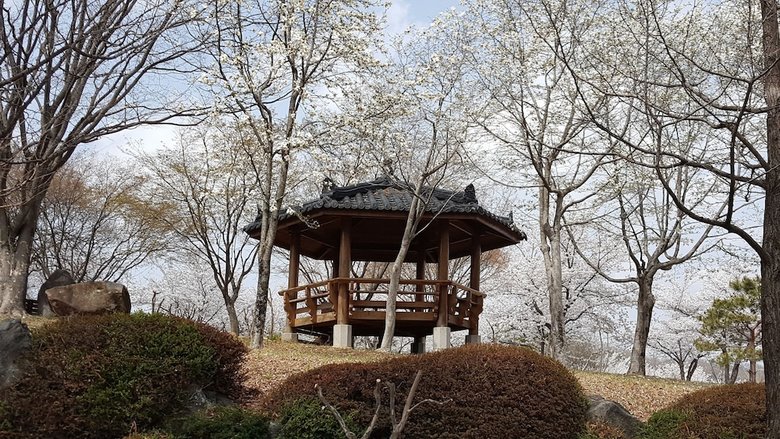 Hapcheonho View Smile Pension