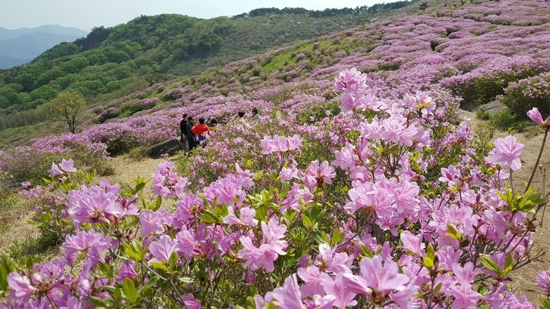 Hapcheonho View Smile Pension