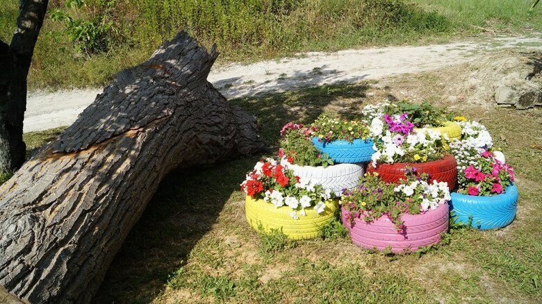 Agroturismo Fattoria La Cona