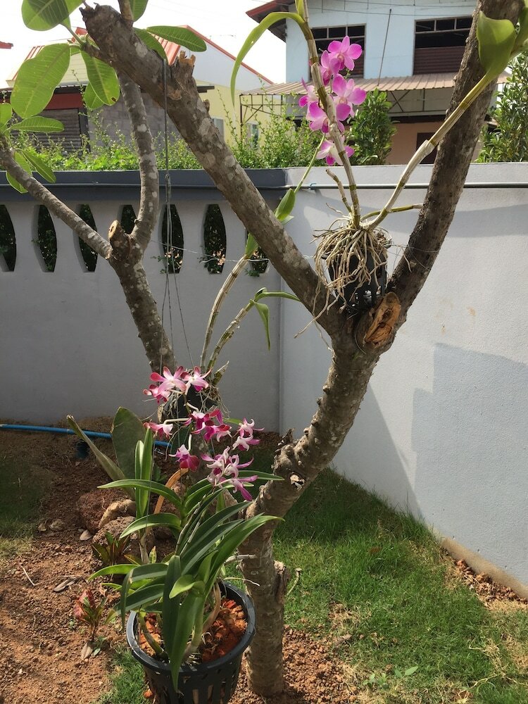 Hotel Phum & Proud Homestay