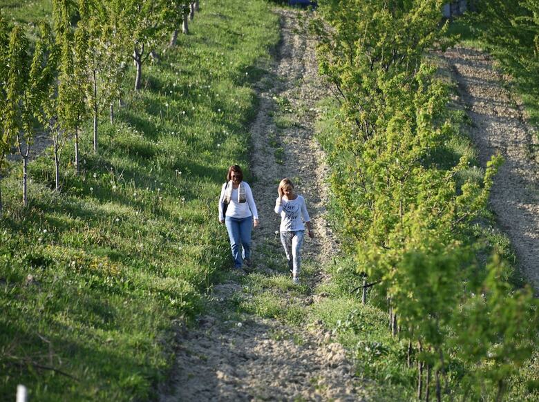 Agroturismo Casamatilda Agriturismo Langhe