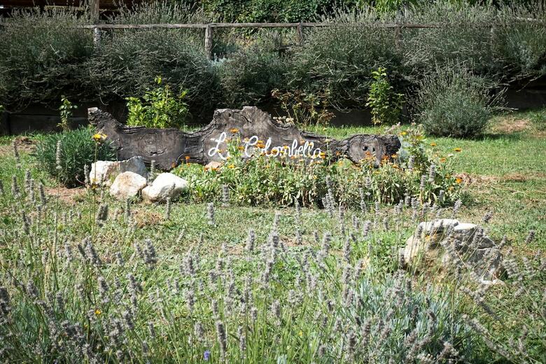 Agroturismo Agriturismo La Colombella