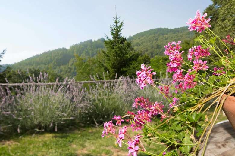Agroturismo Agriturismo La Colombella