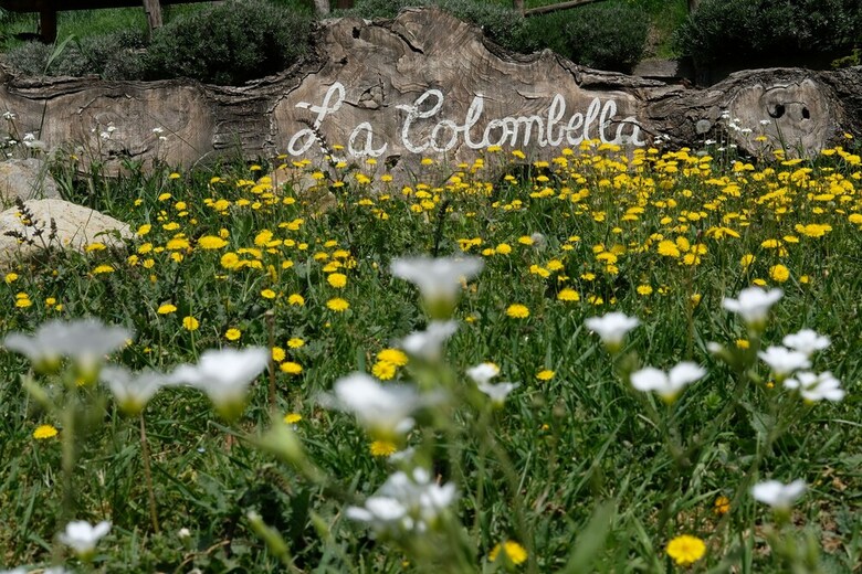 Agroturismo Agriturismo La Colombella