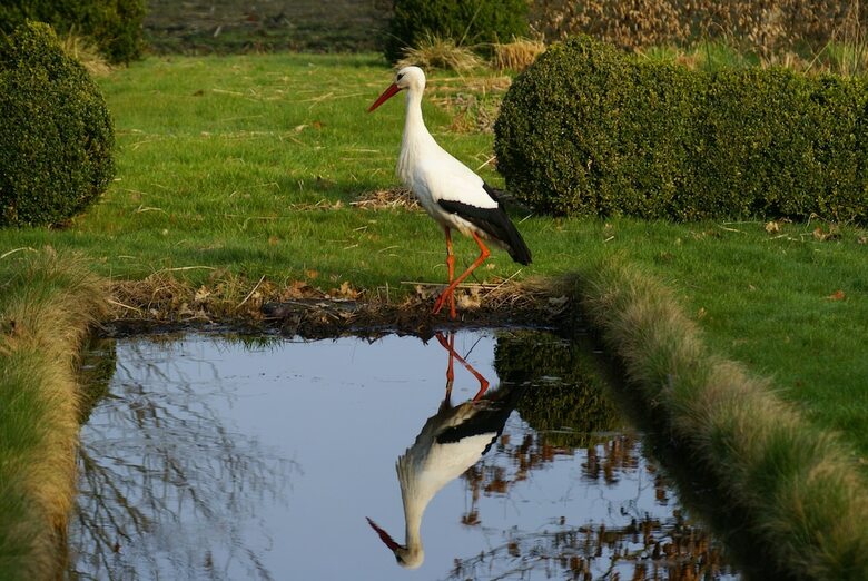 Bed & Breakfast de Heerlijkheid Ruinerwold