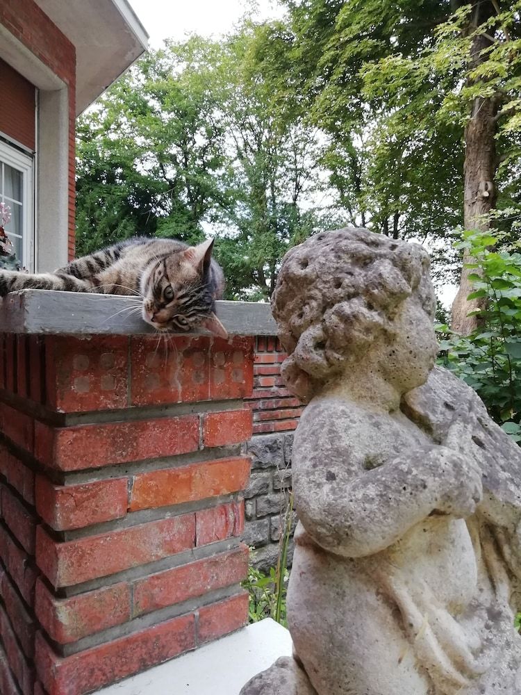 Hotel Le Domaine de La C�te Aux Chats