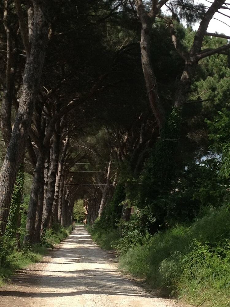 Agroturismo Agriturismo La Montagnola