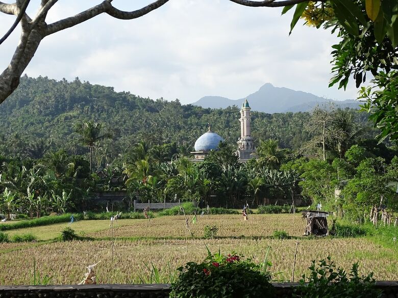 Bed & Breakfast Bale Solah