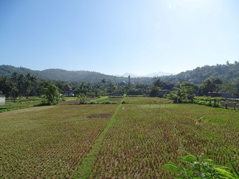 Bed & Breakfast Bale Solah