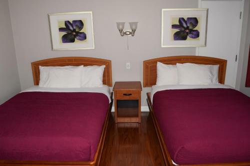 Willow Motel