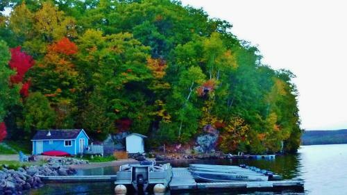 Silver Springs Cottage Resort
