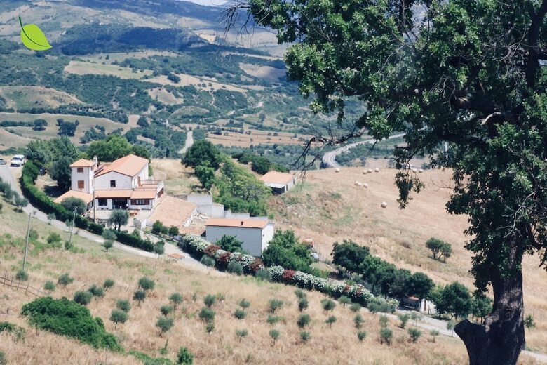 Agroturismo Tenuta Fortunato
