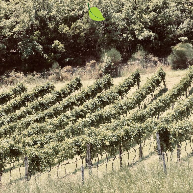 Agroturismo Tenuta Fortunato
