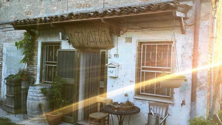 Selvatica50 B&B