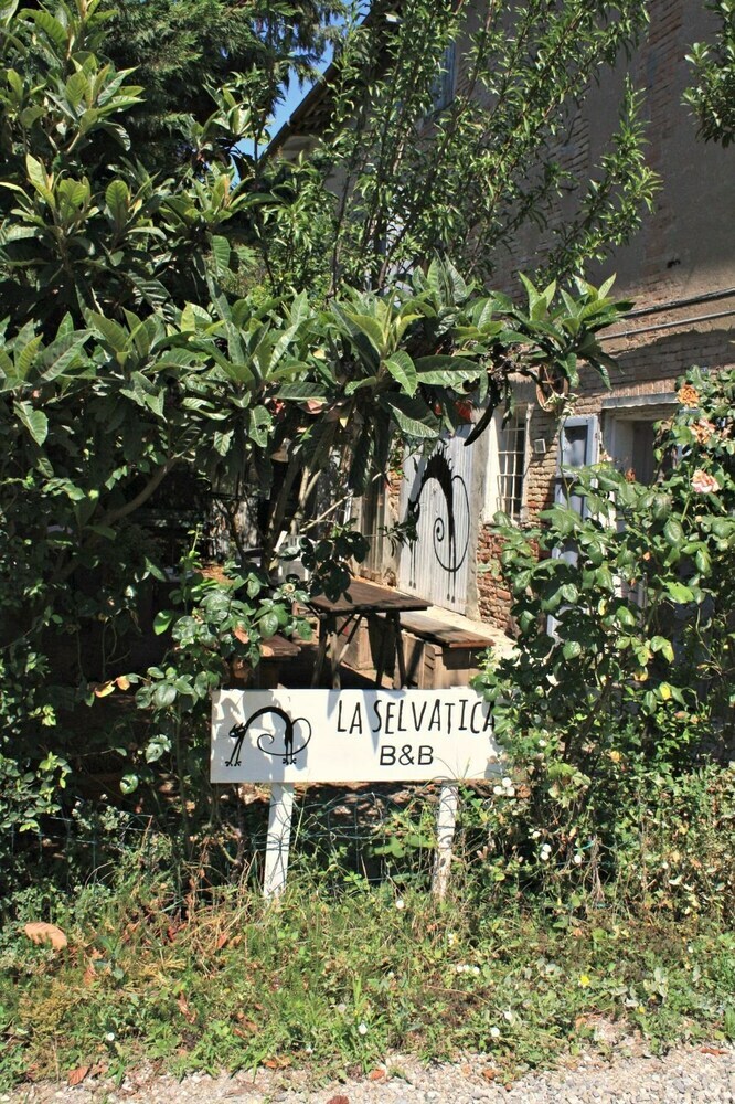 Selvatica50 B&B