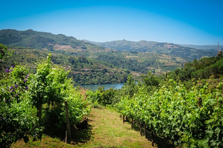 Casa Da Mouta - Douro Valley