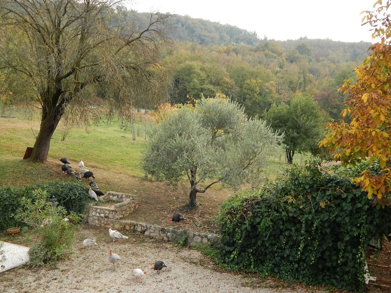 Agroturismo El Pavejo Alloggio E Colazione